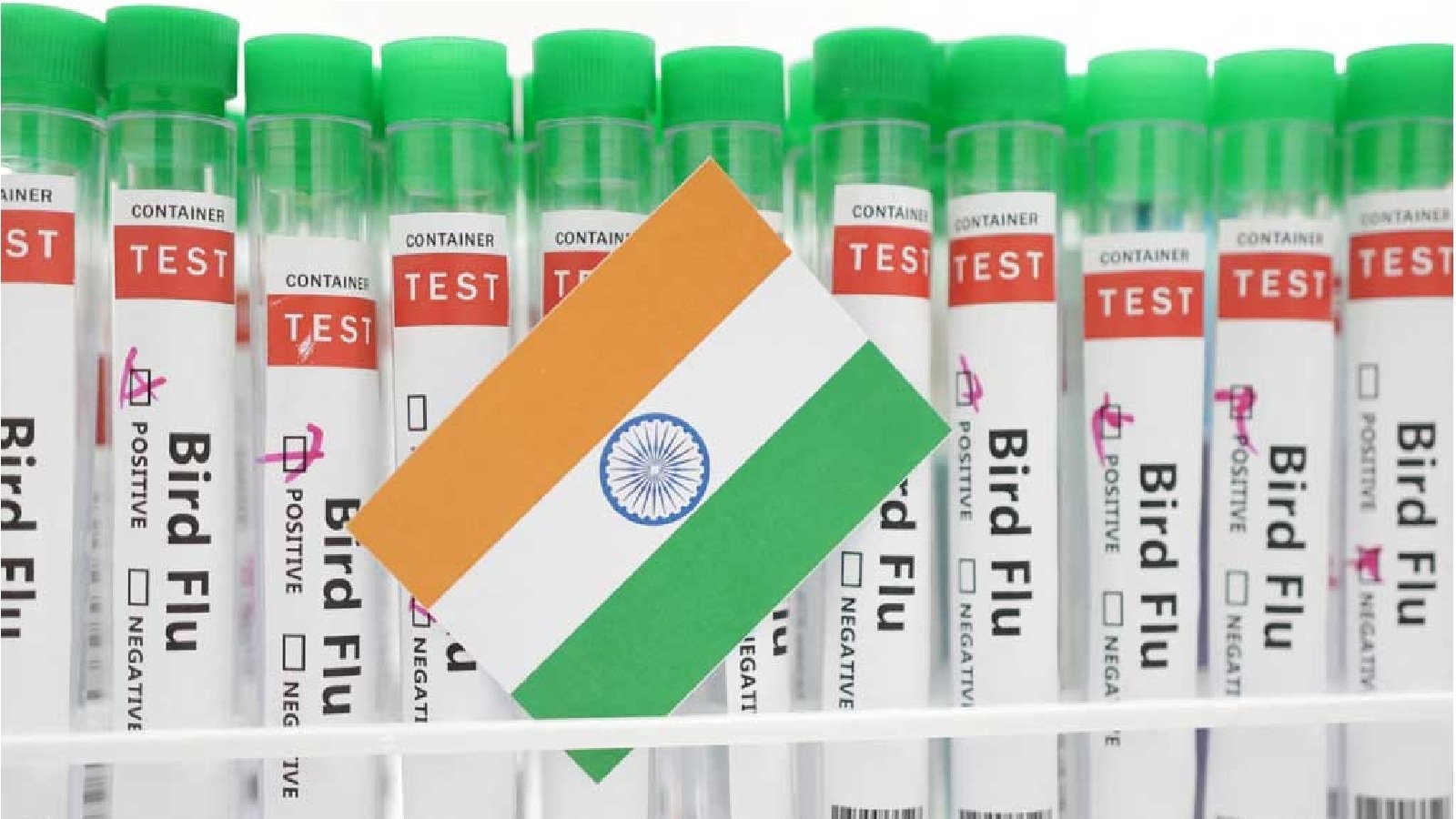 Test tubes labelled "Bird Flu" and a piece of paper in the colours of the Indian national flag are seen in this picture illustration, January 14, 2023. REUTERS/Dado Ruvic/Illustration