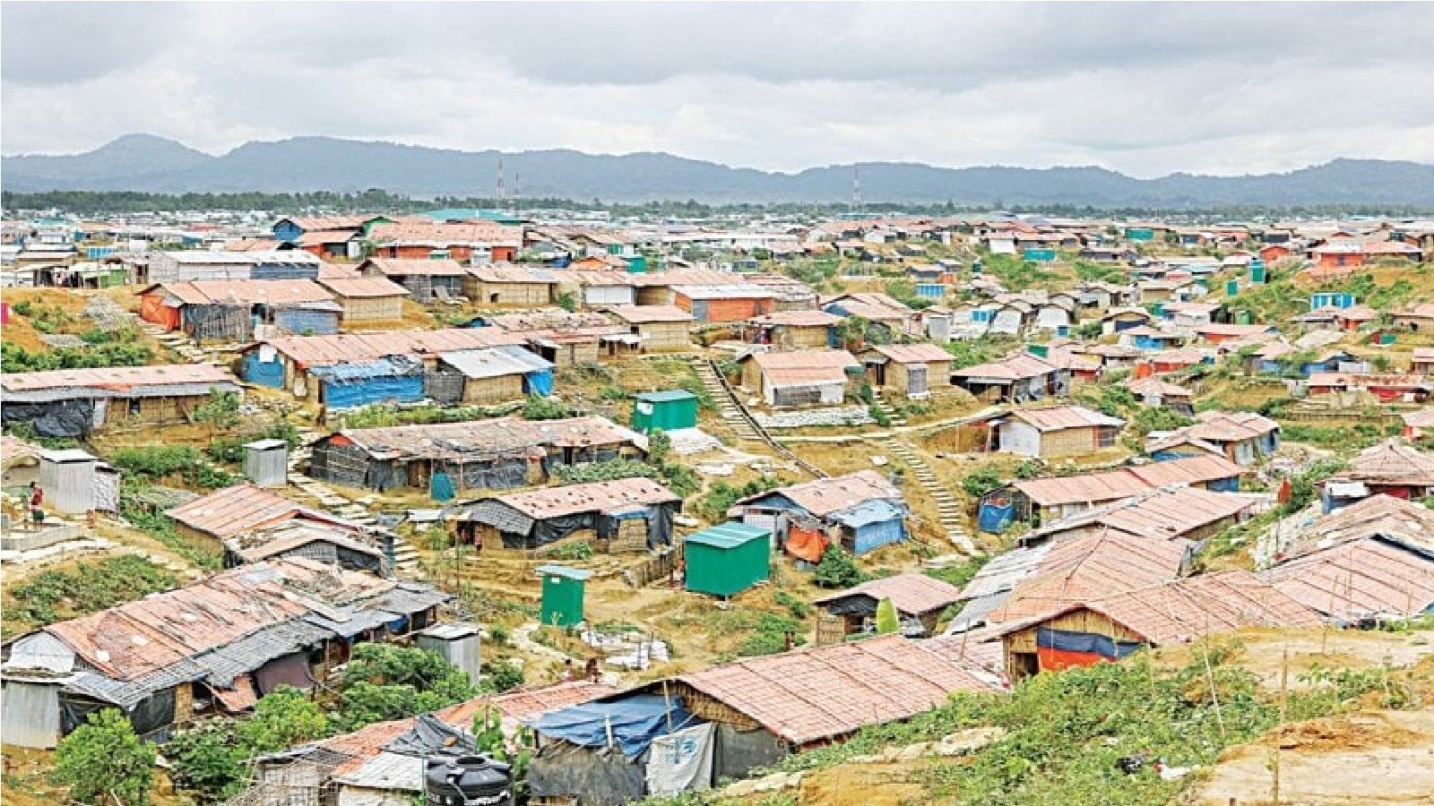 20% of Rohingyas test positive for hepatitis C in Cox’s Bazar
